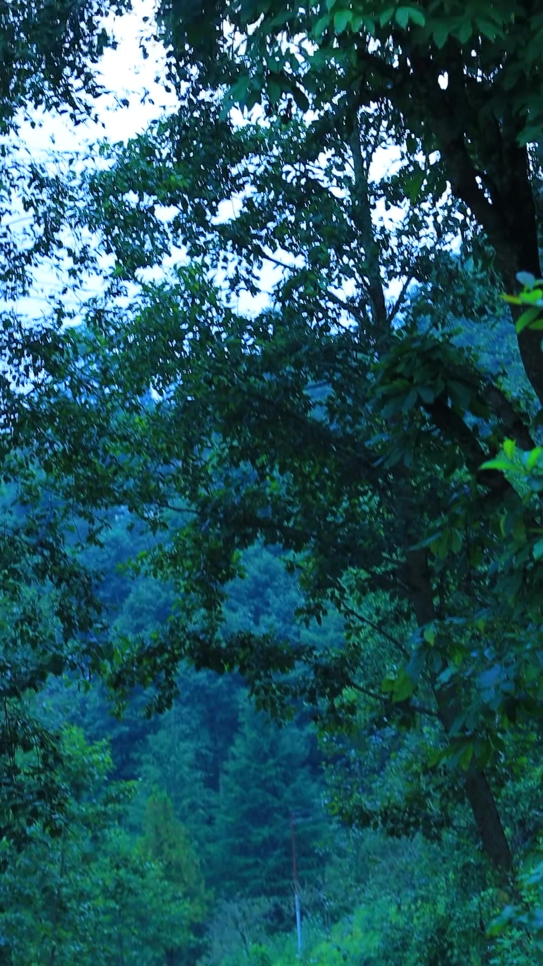 @Arun shahi