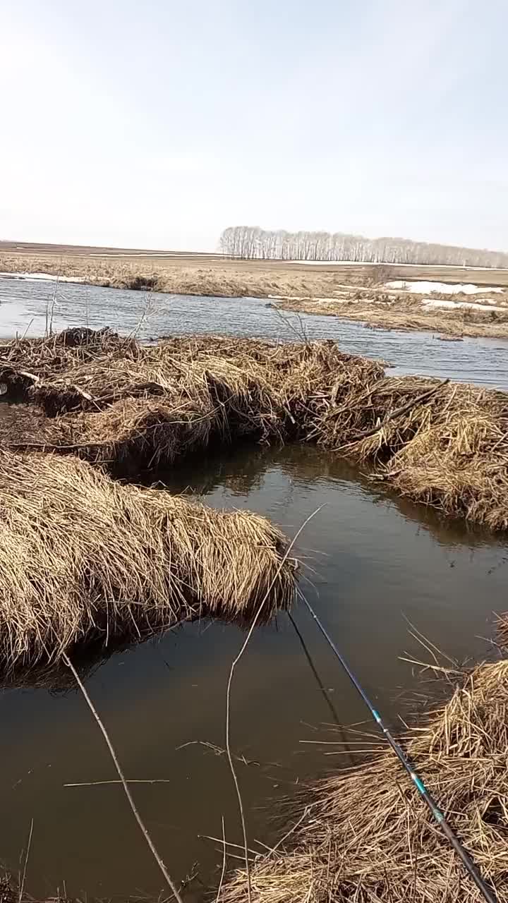 @Артурыч