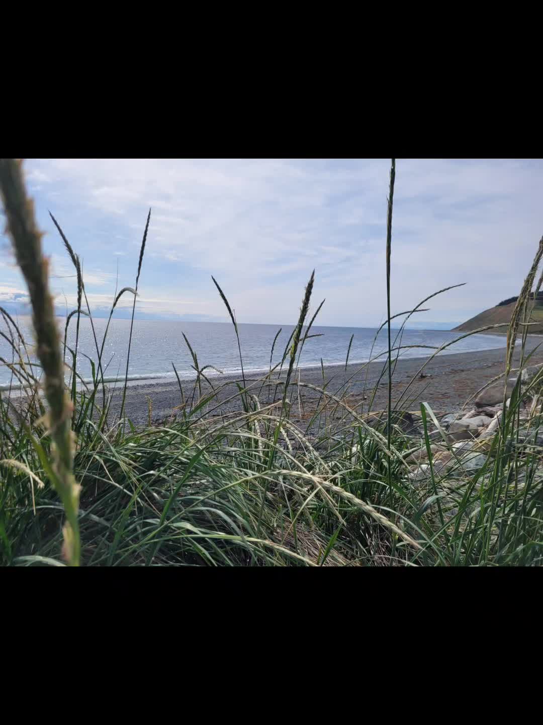 @SeayaattheBeach