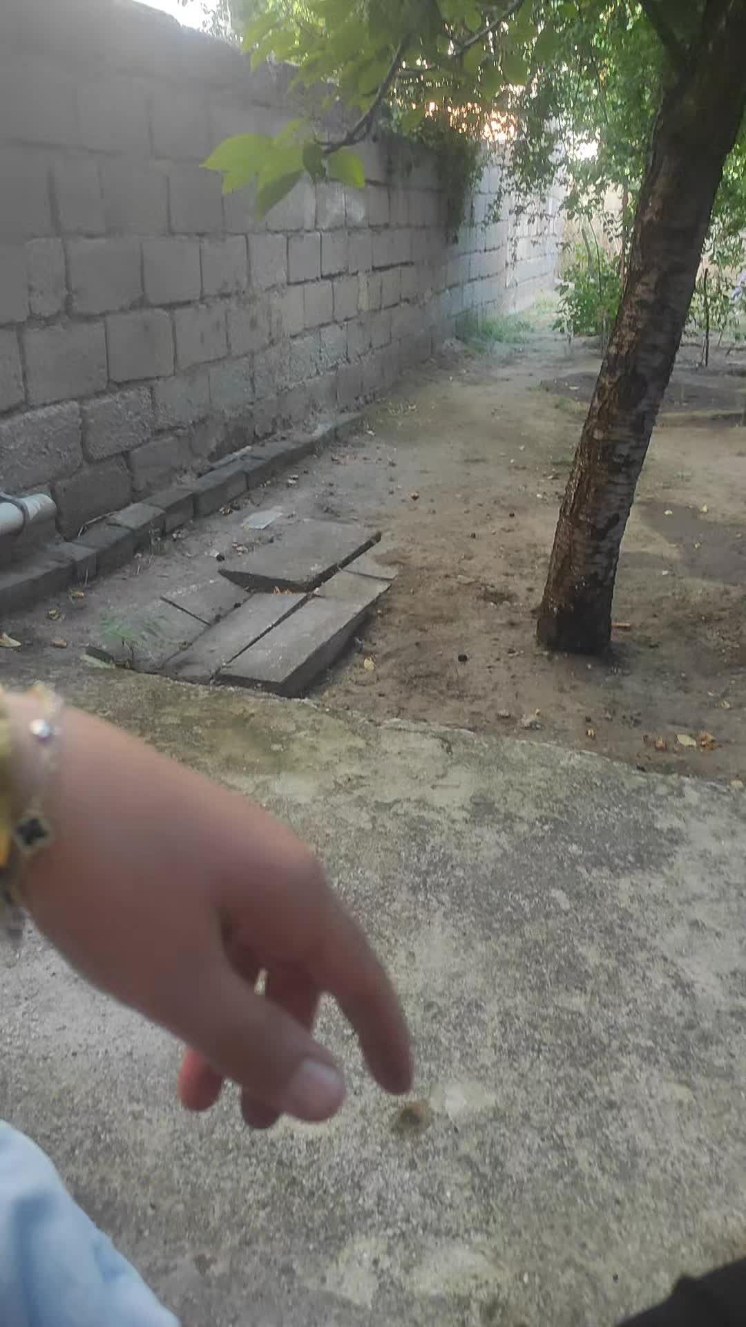 @delikanlı Hatun