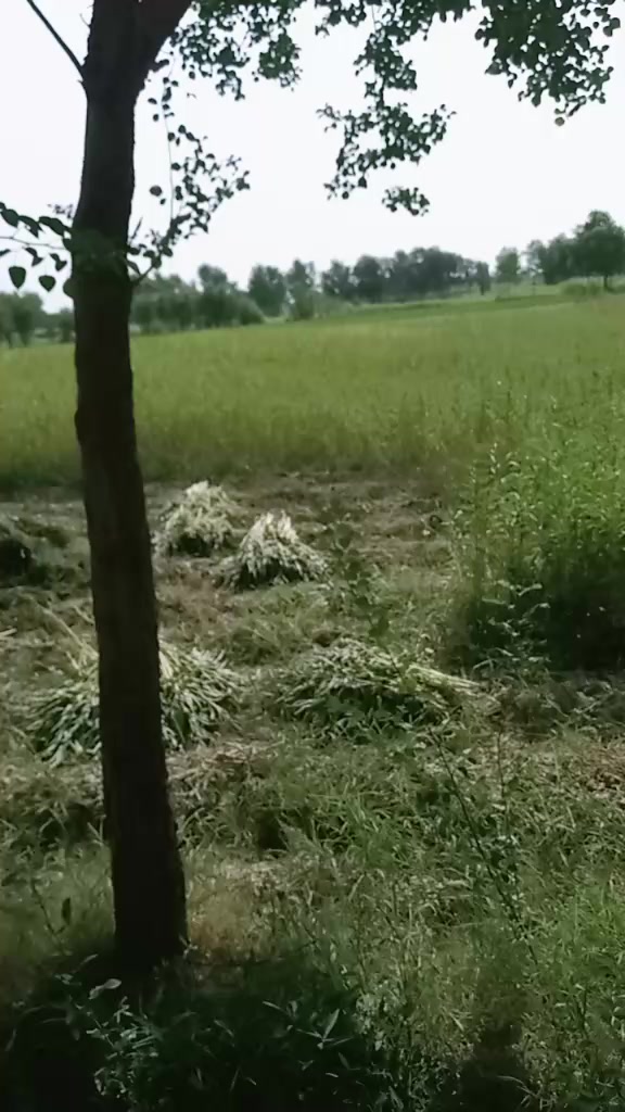 @Akram 511