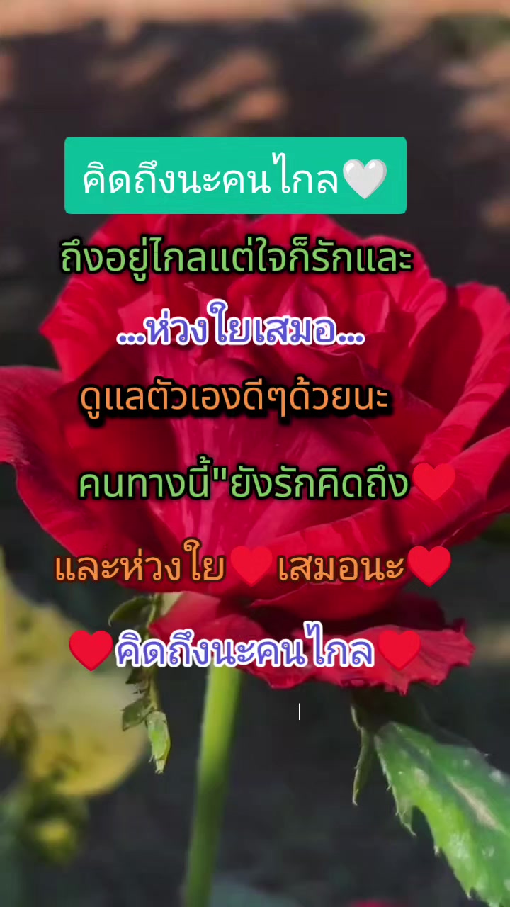 @Amnart wisetchart