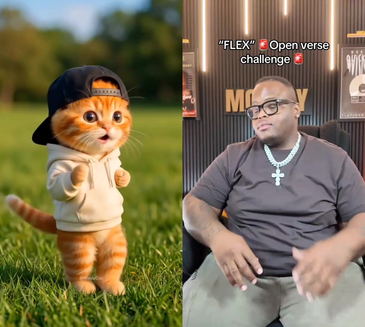 @MTerra Mnisi