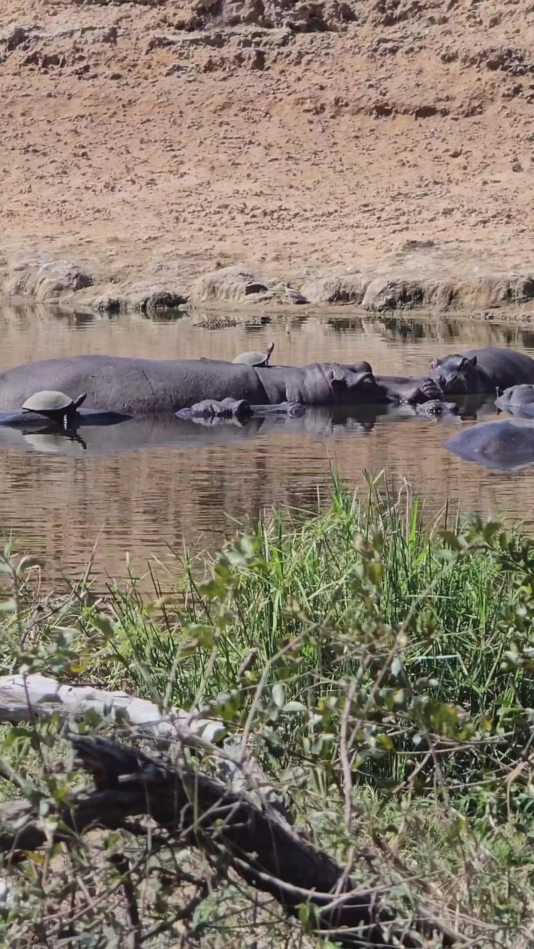 @KPS Safaris and Tours
