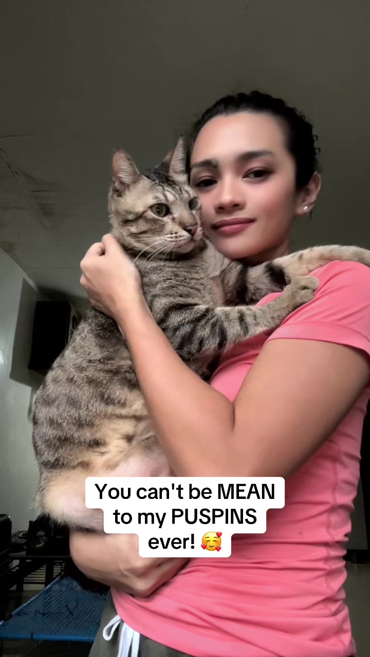 @17meows