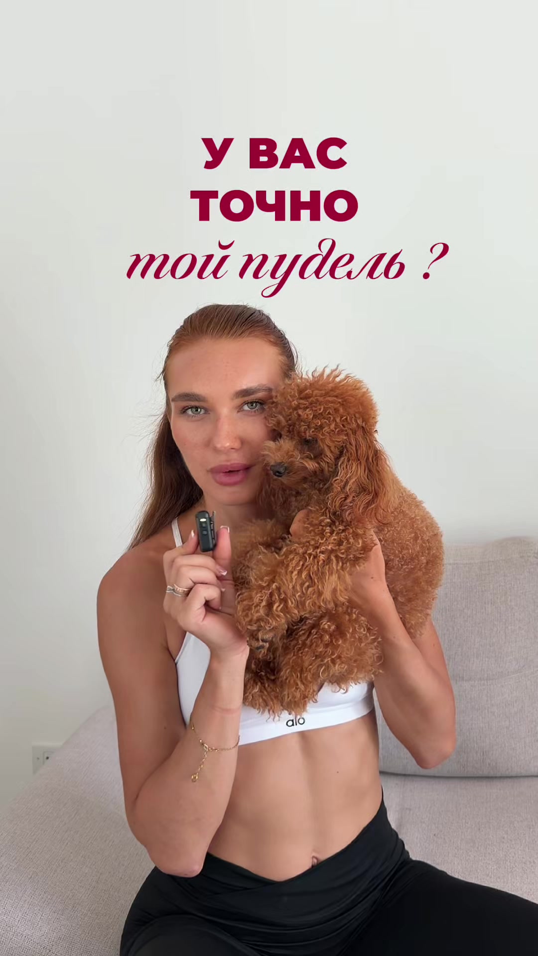 @beatrice_poodle