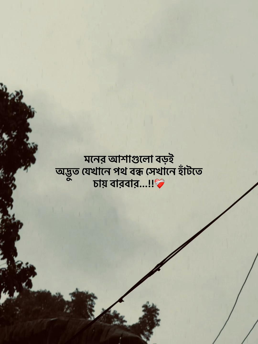 @Jahidul lslam 95
