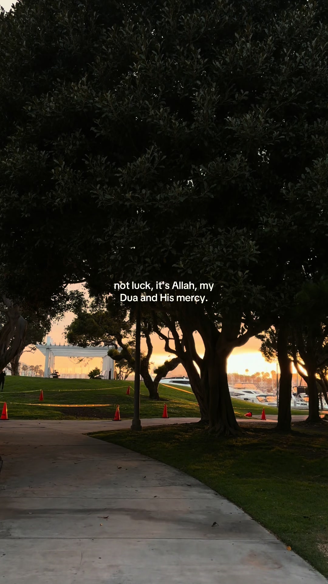 @𝒮