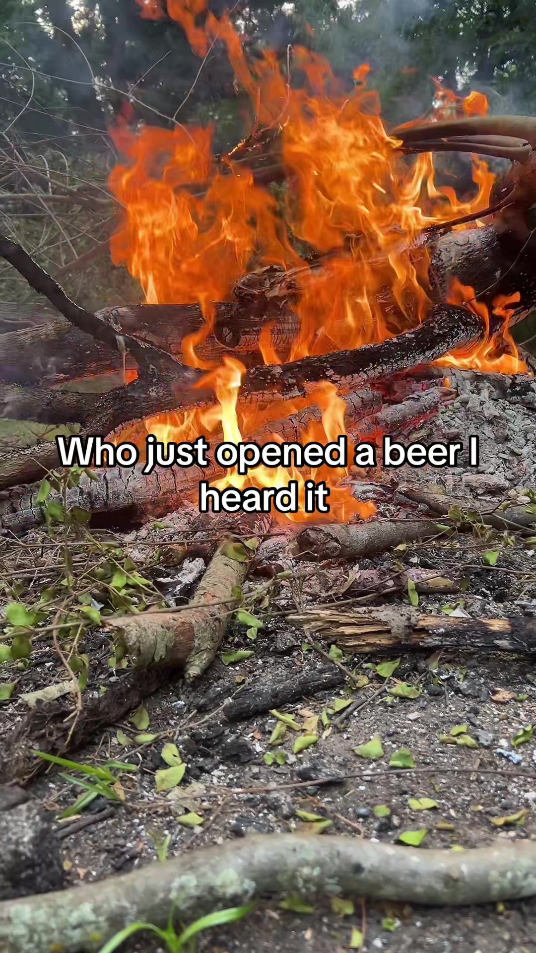@monkey