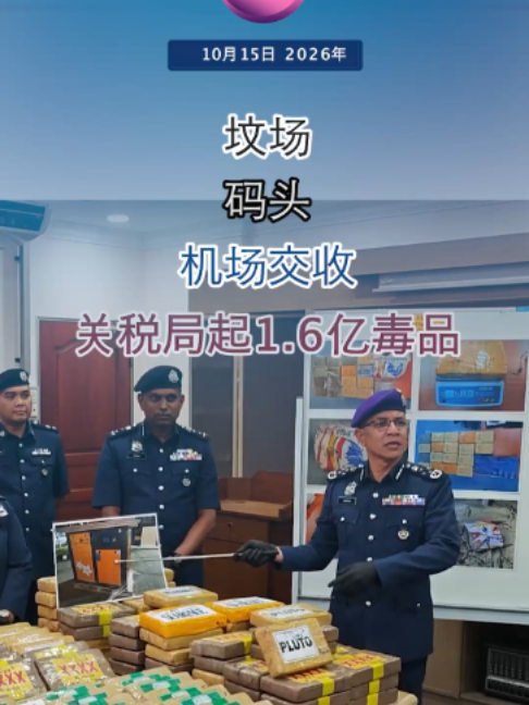 @中国报