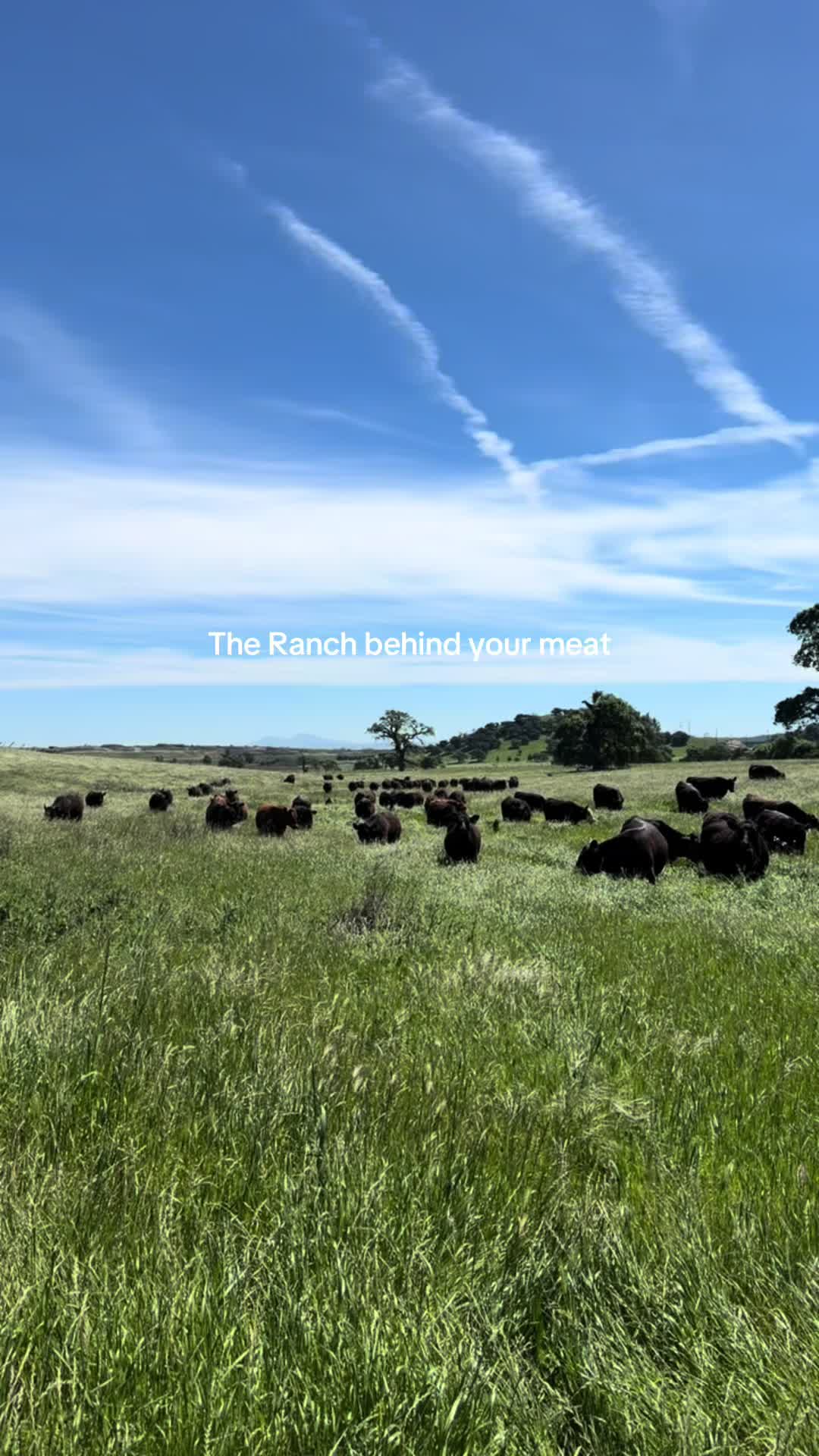 @Stemple Creek Ranch