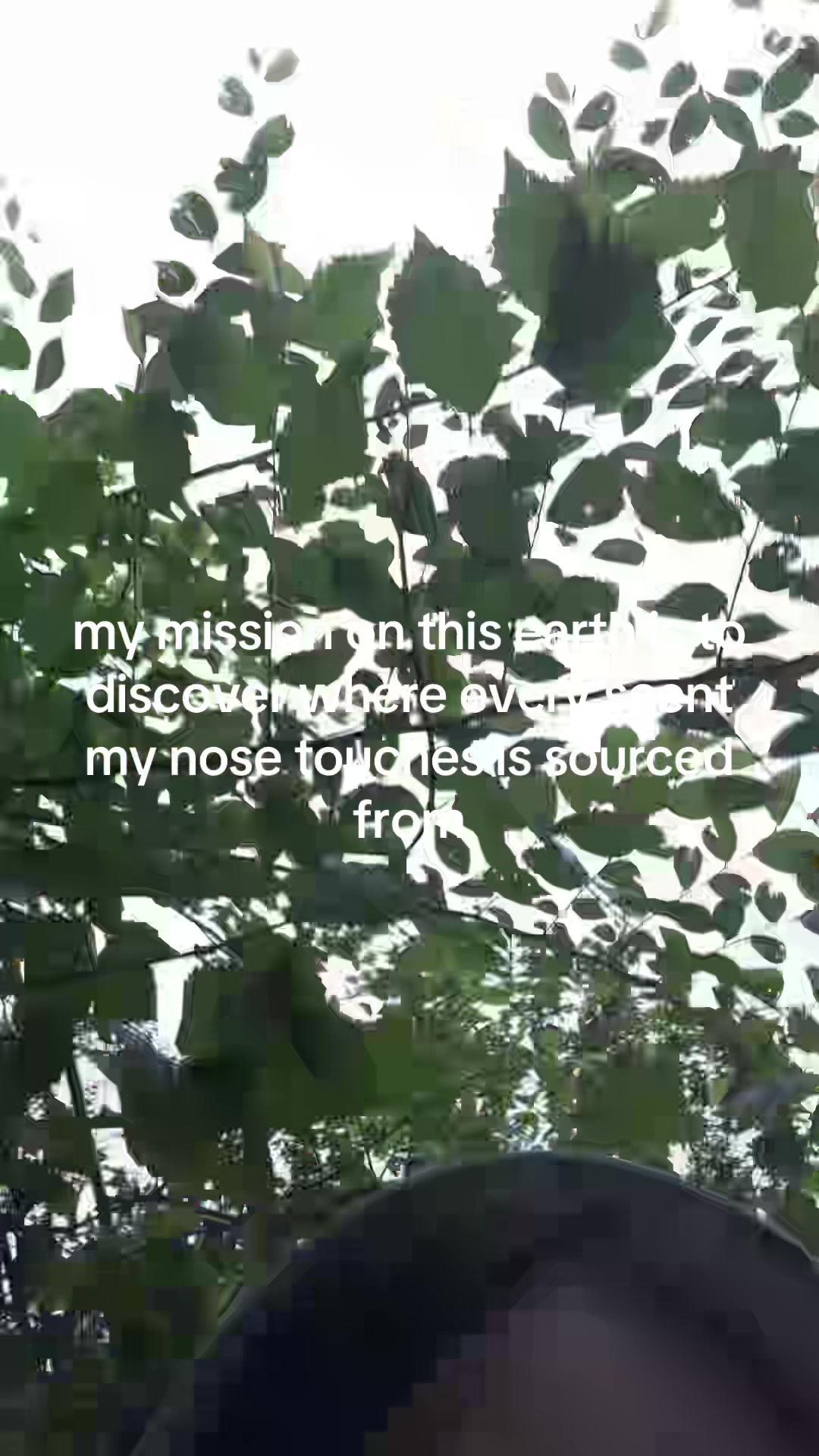 @n 🐈❣️🍨