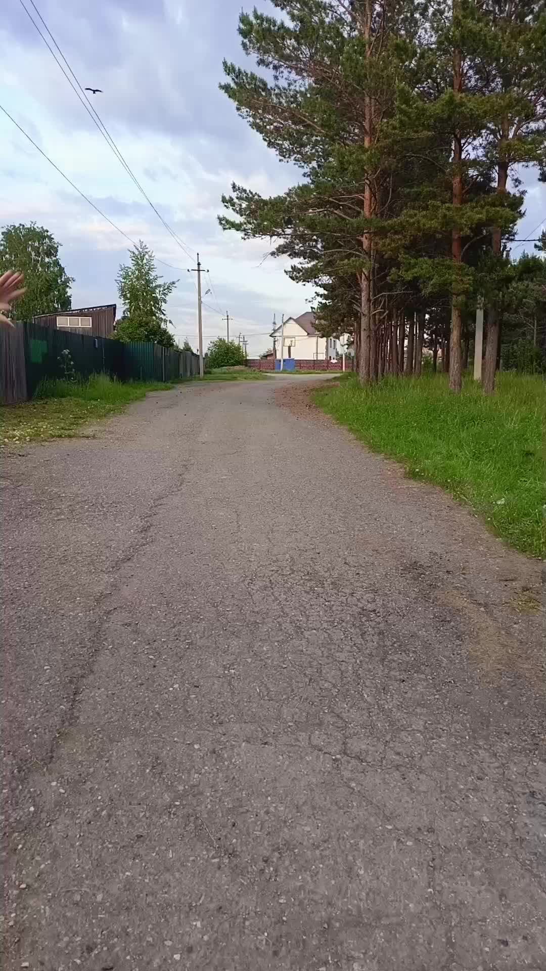 @🤩Дмитрий🤩