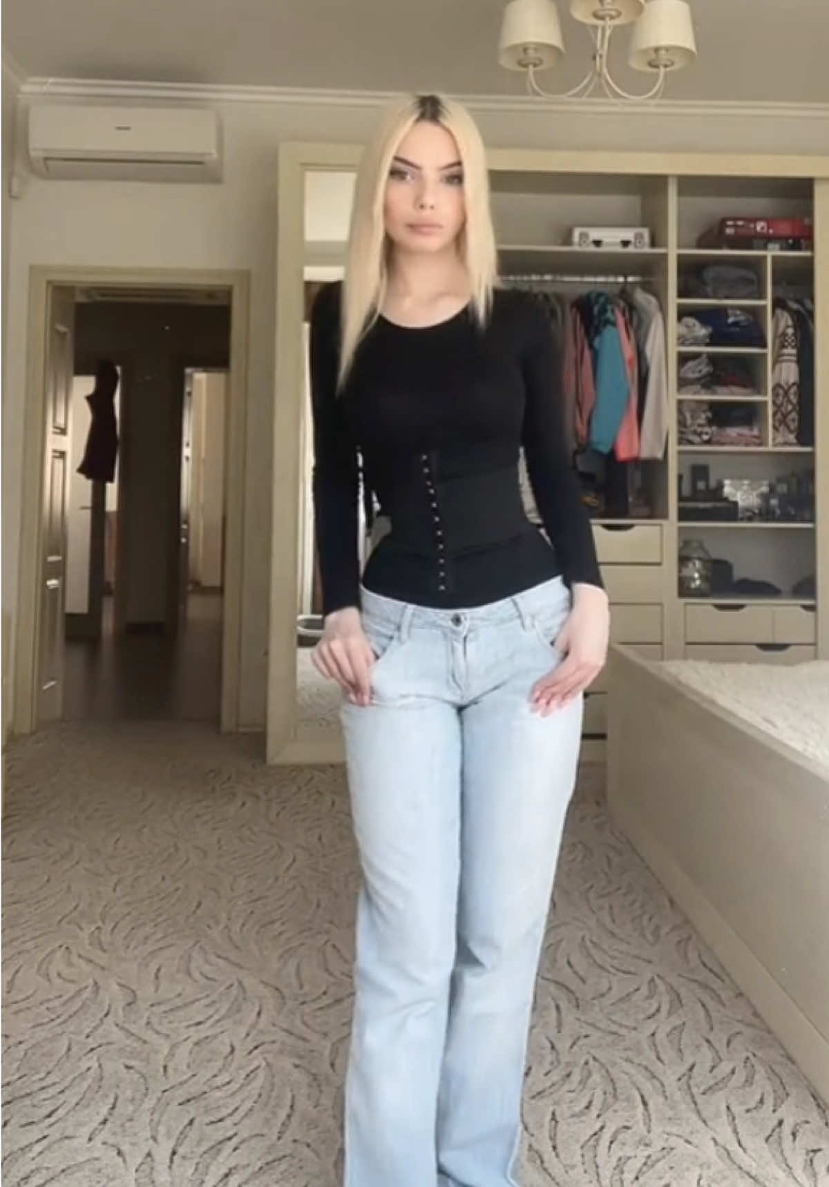 @чихуахуа