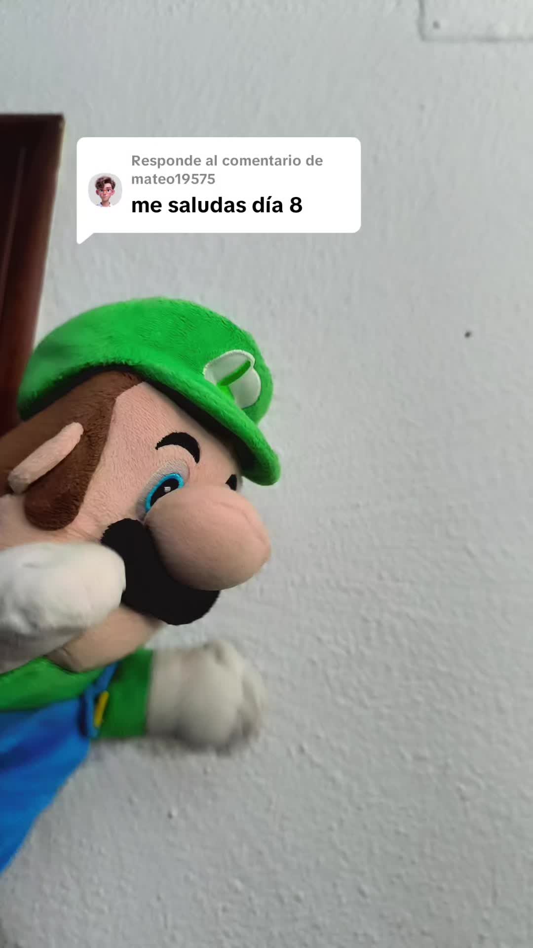 @SuperMarioNetas