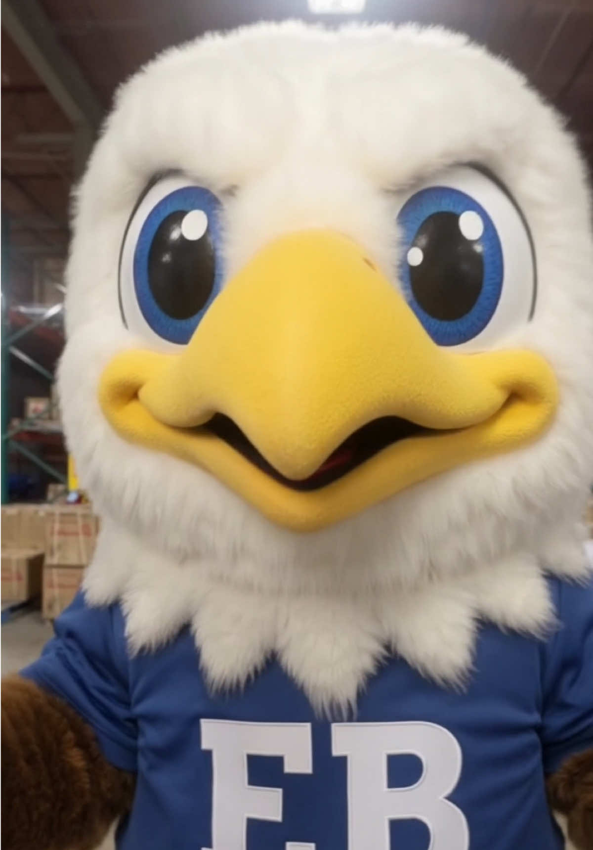 @Eagle Bounce