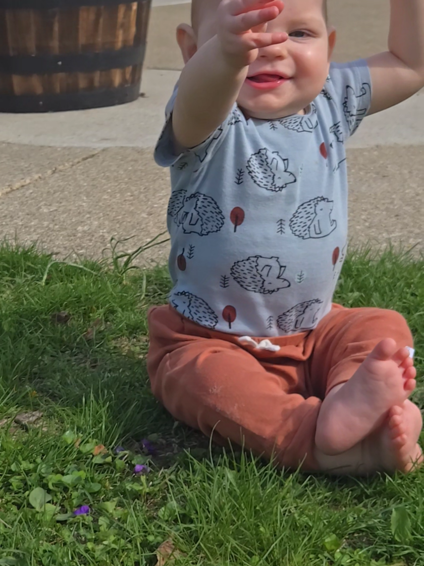 @🦋olly