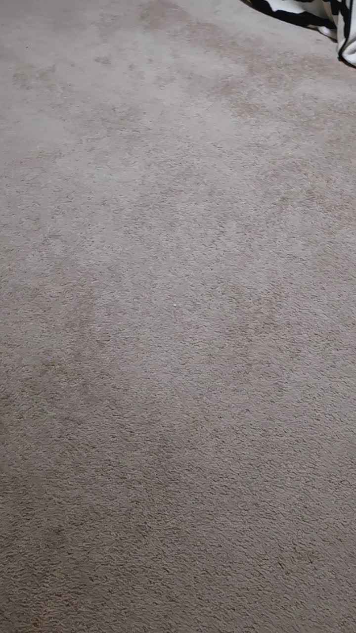 @Trevorgonz30