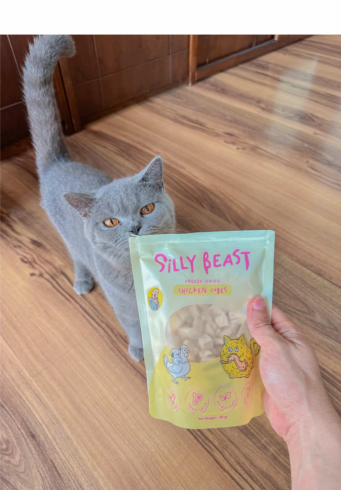 @Panggil aja JEDUT 🐈&zwj;⬛