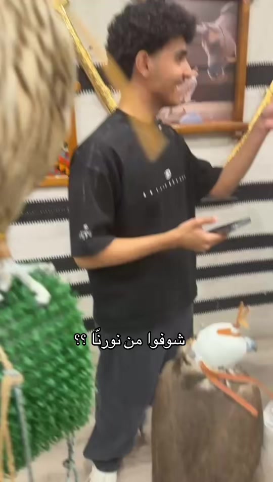 @ريشة صقر