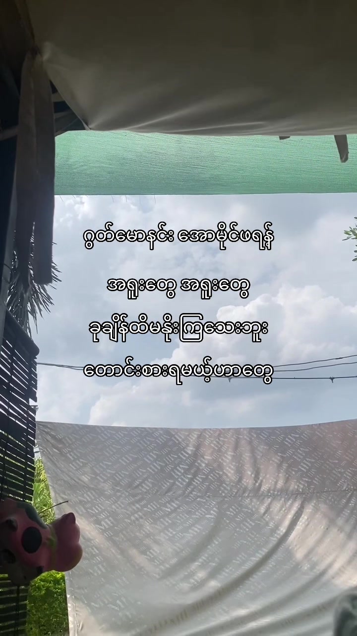 @hOneY