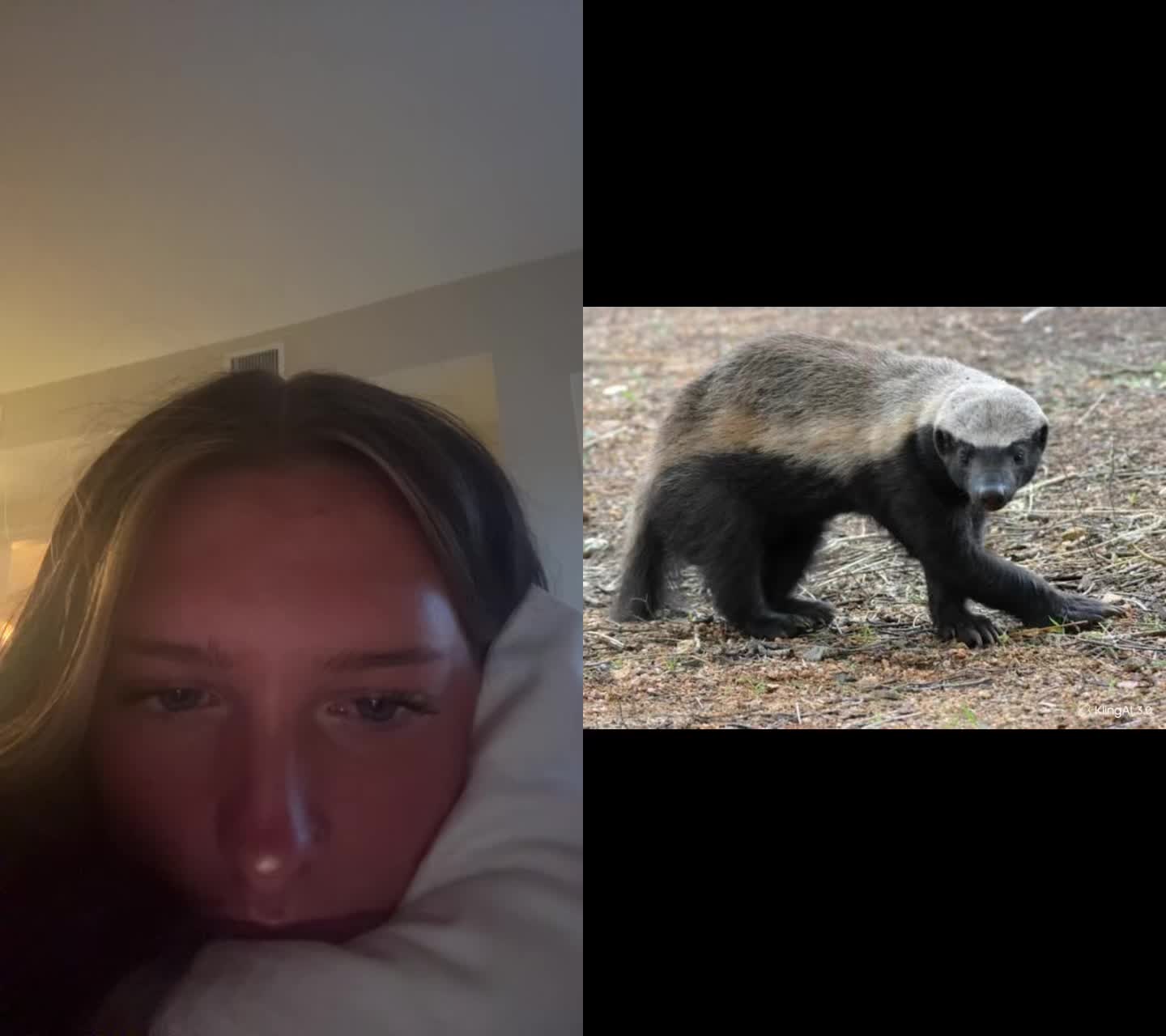@lyssaaa