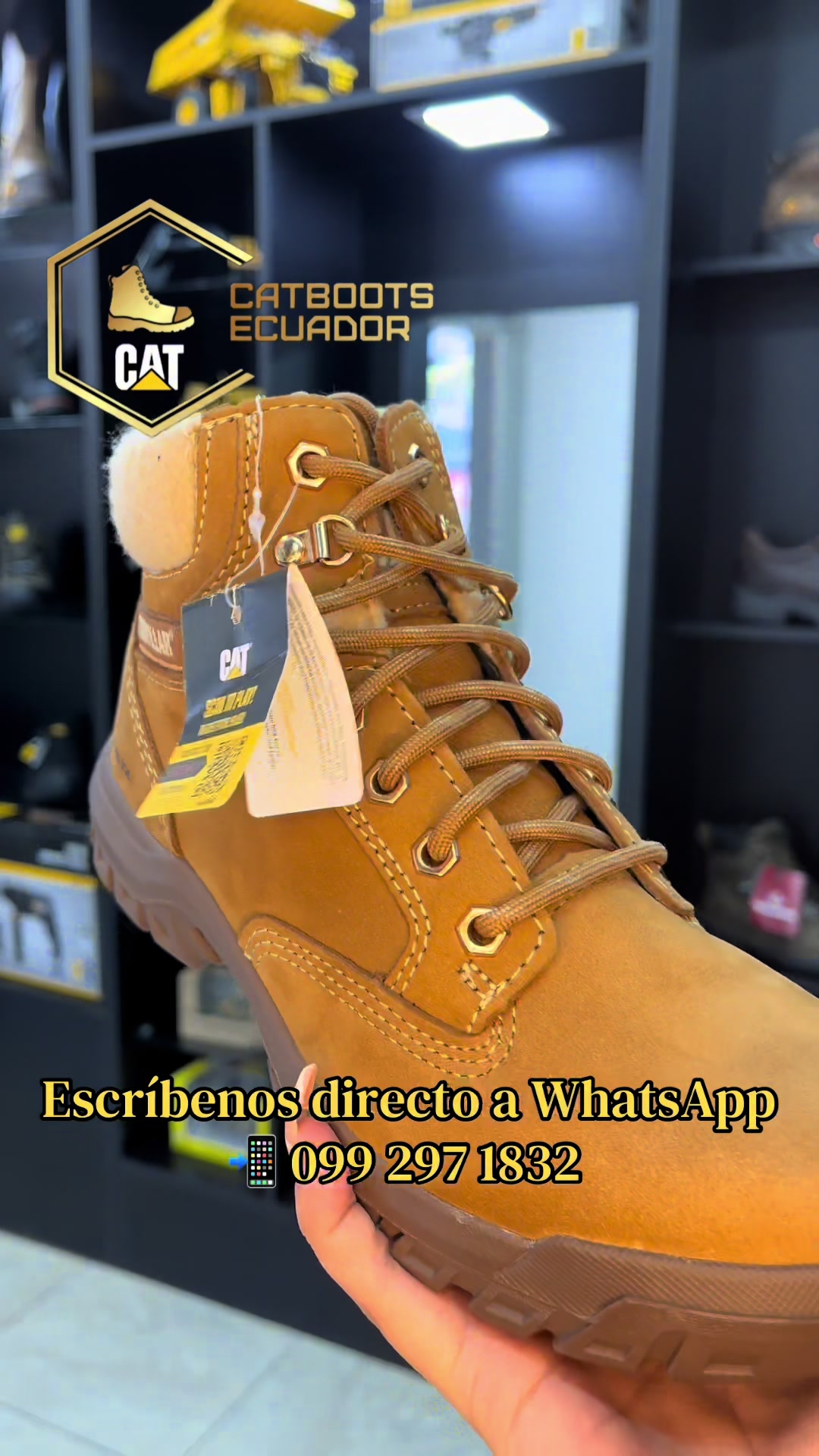 @CatBoots Ecuador 🇪🇨