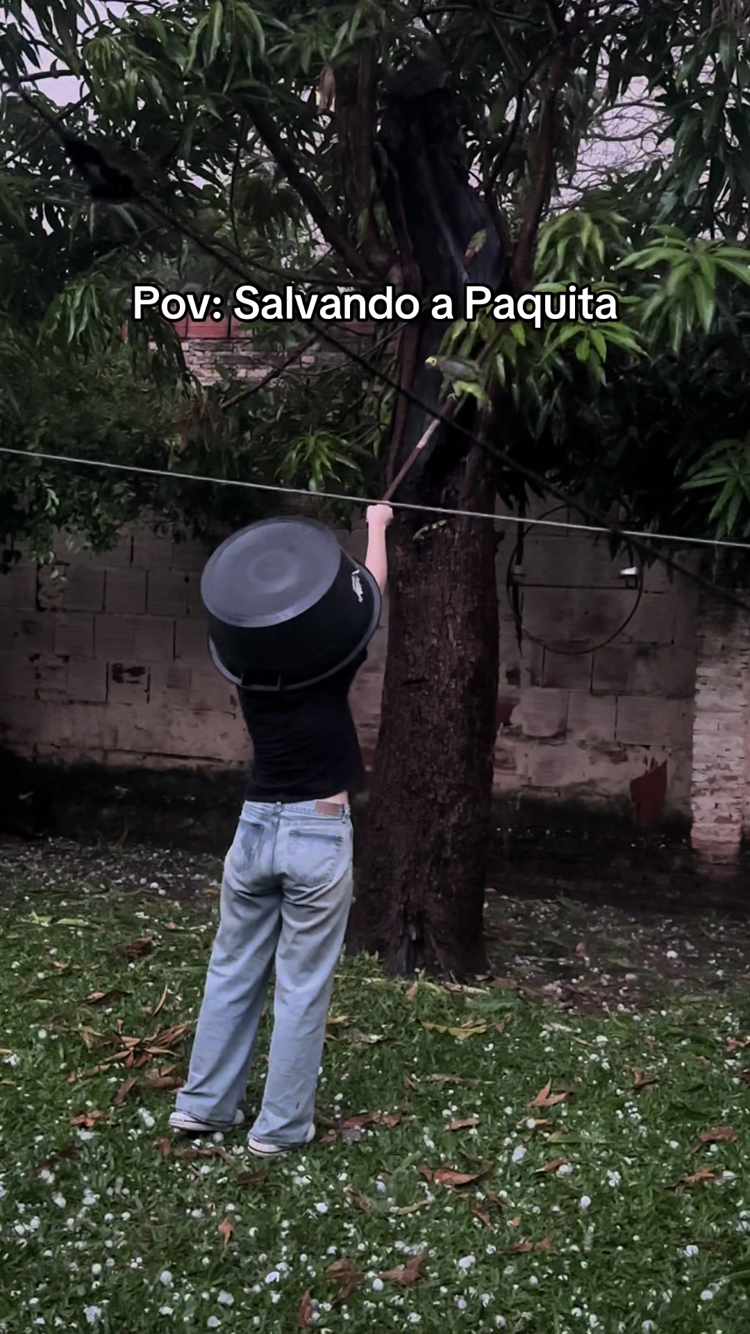 @Andres Nunes