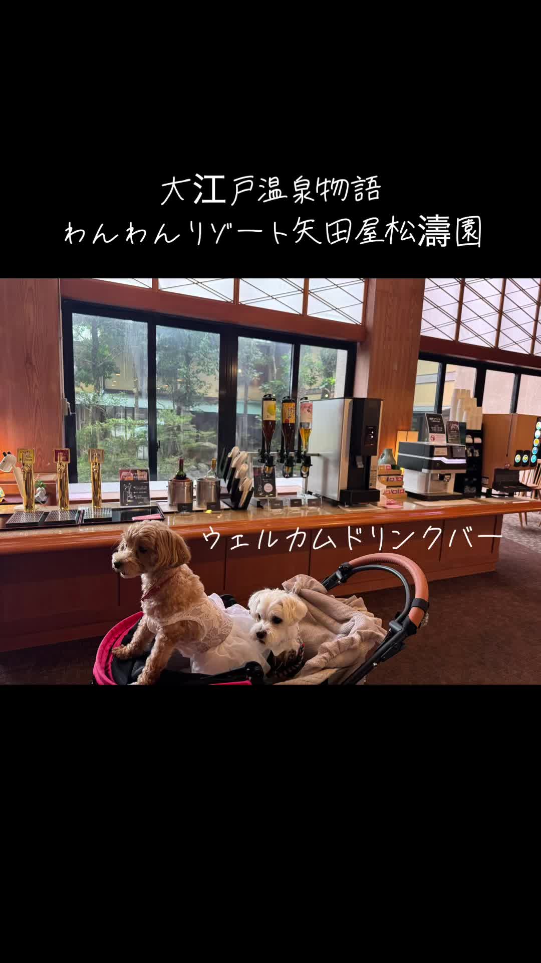 @SAN&AE&ギャルばばSANAEの日常