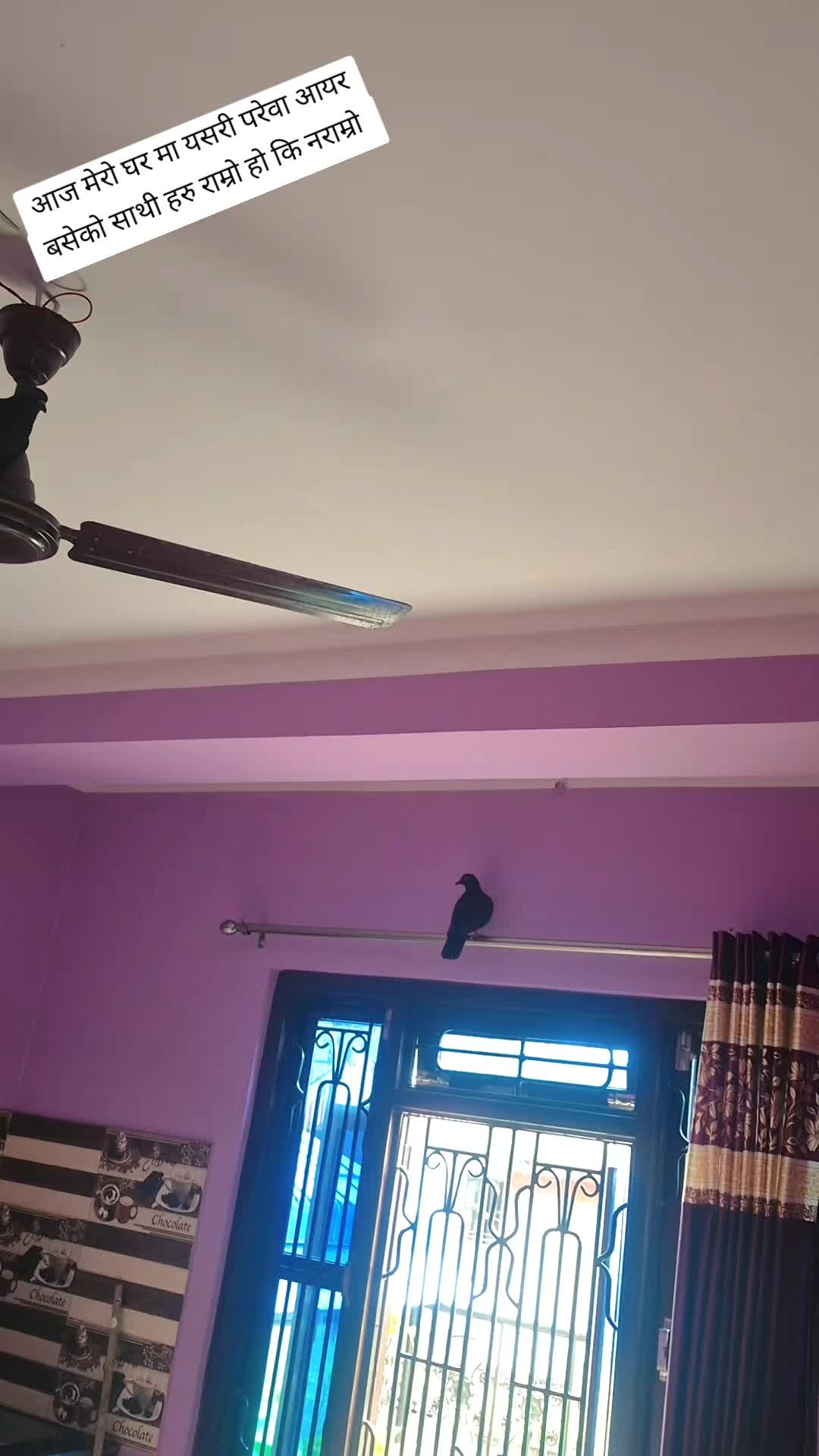 @hirarana125