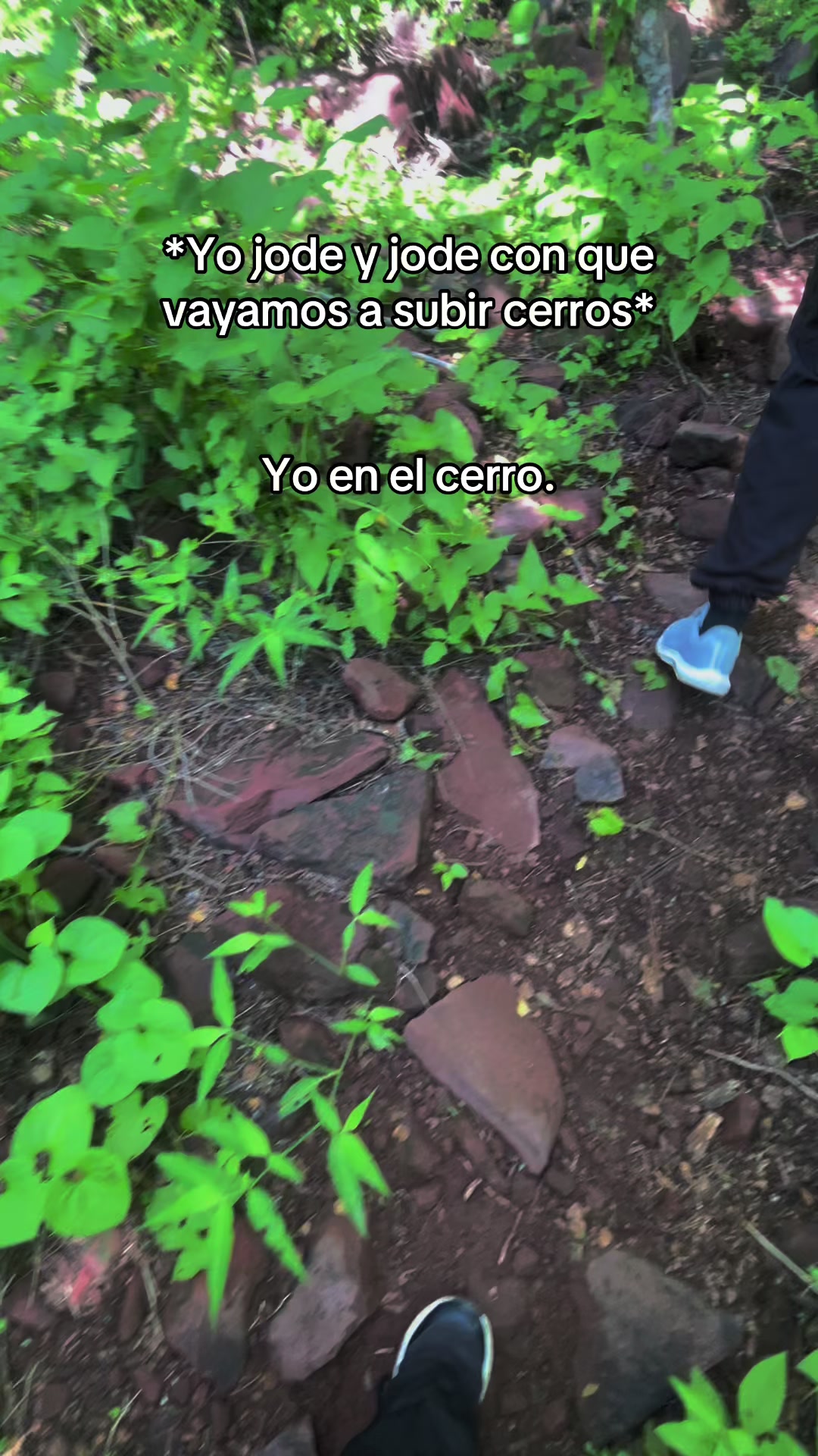 @Elizabeth Pantoja