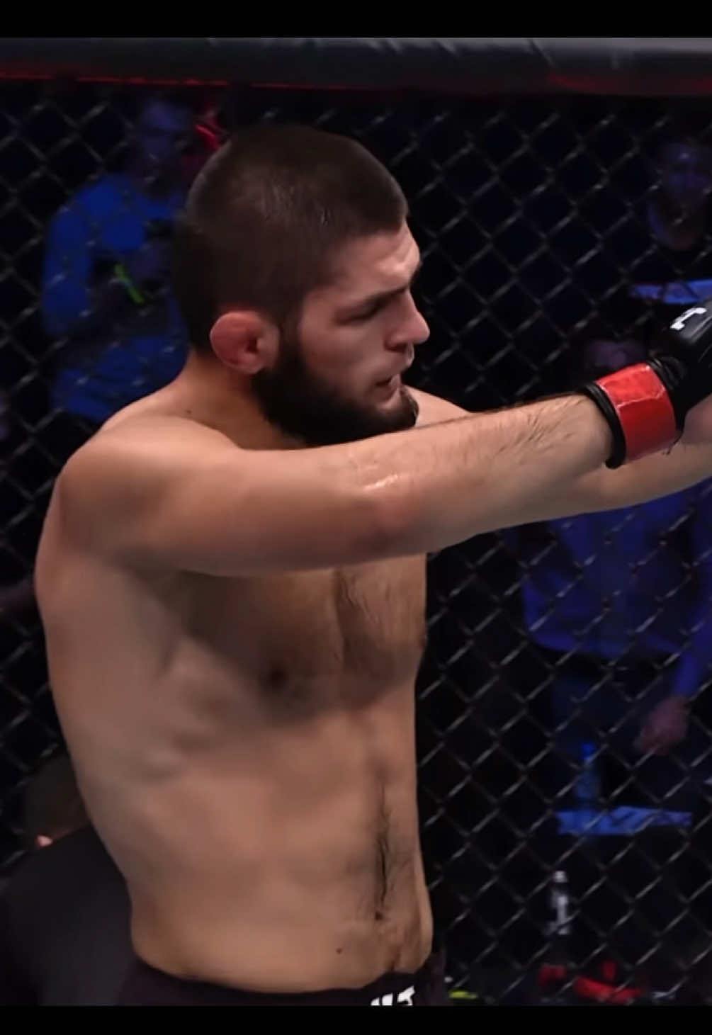 @kentizmma 🕷️