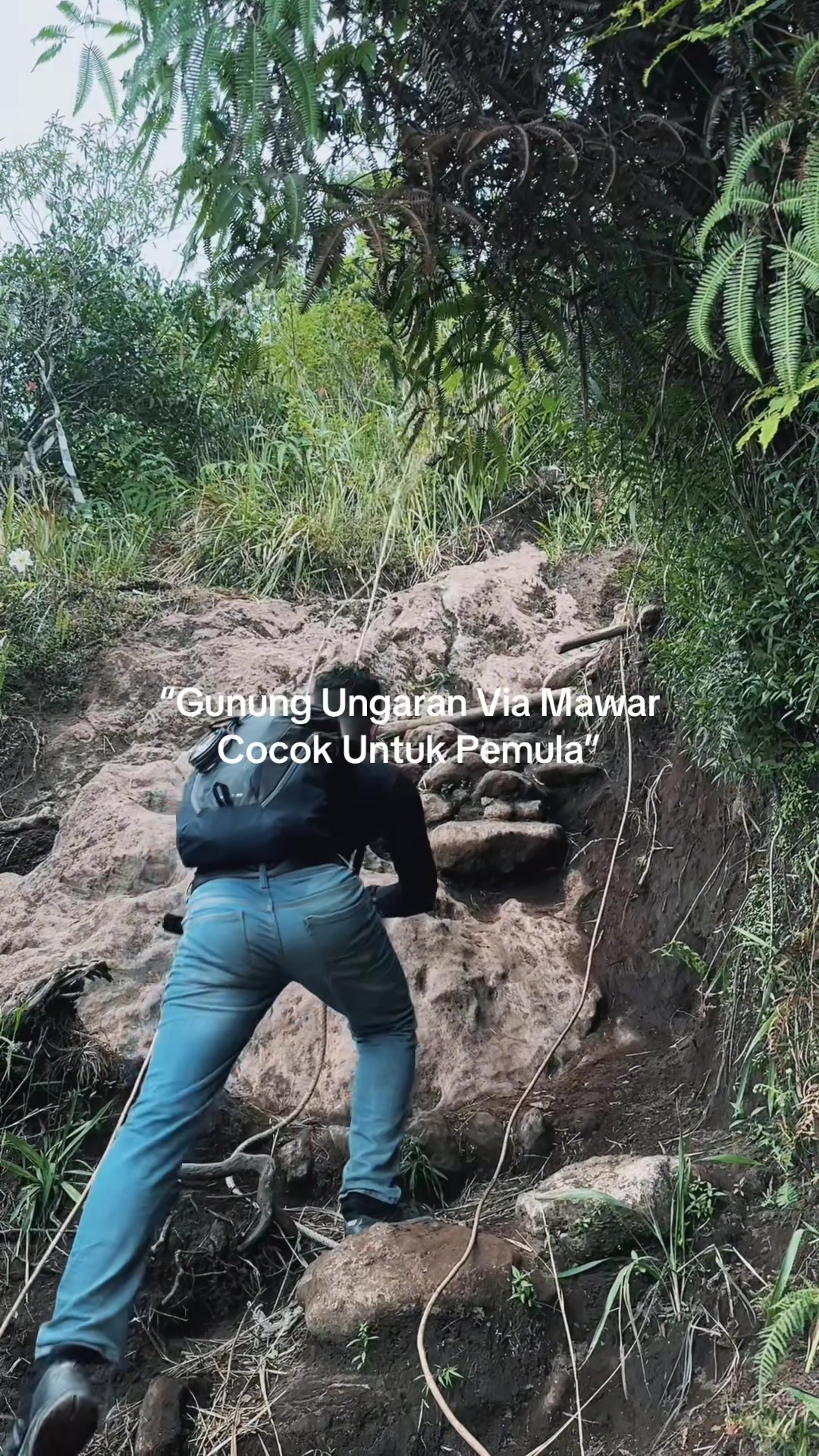 @Mgizal