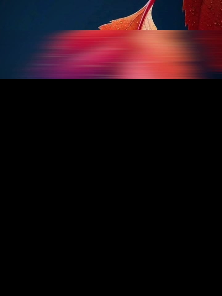 @⚡عيس💯HAIDRE⚡