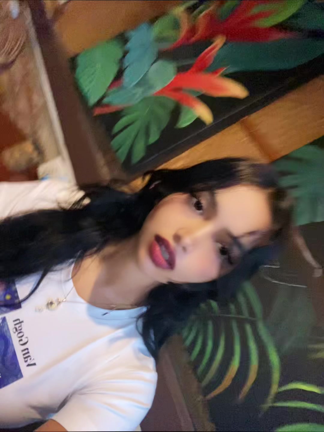 @🕊️