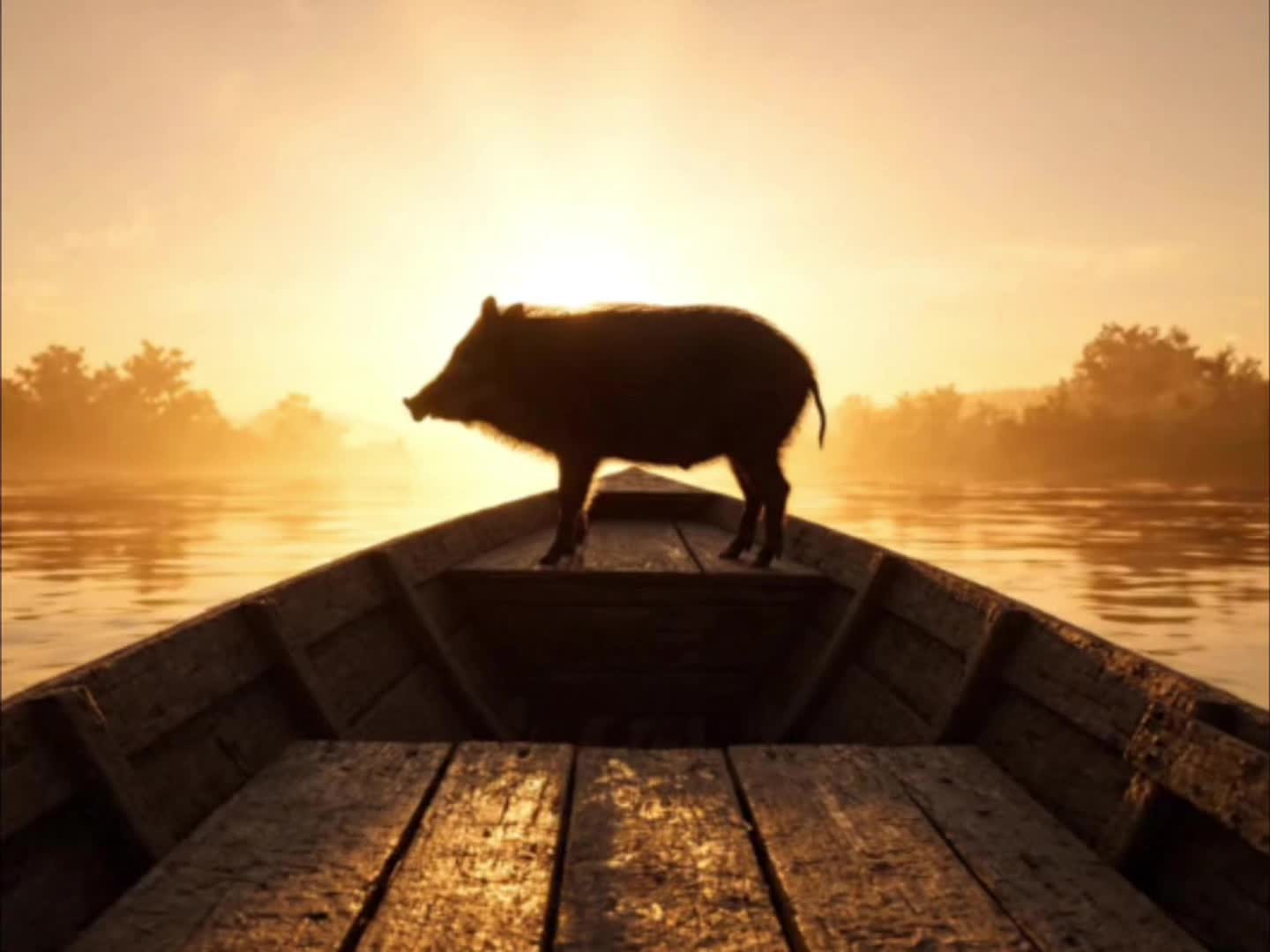 @JRE AnimalRants