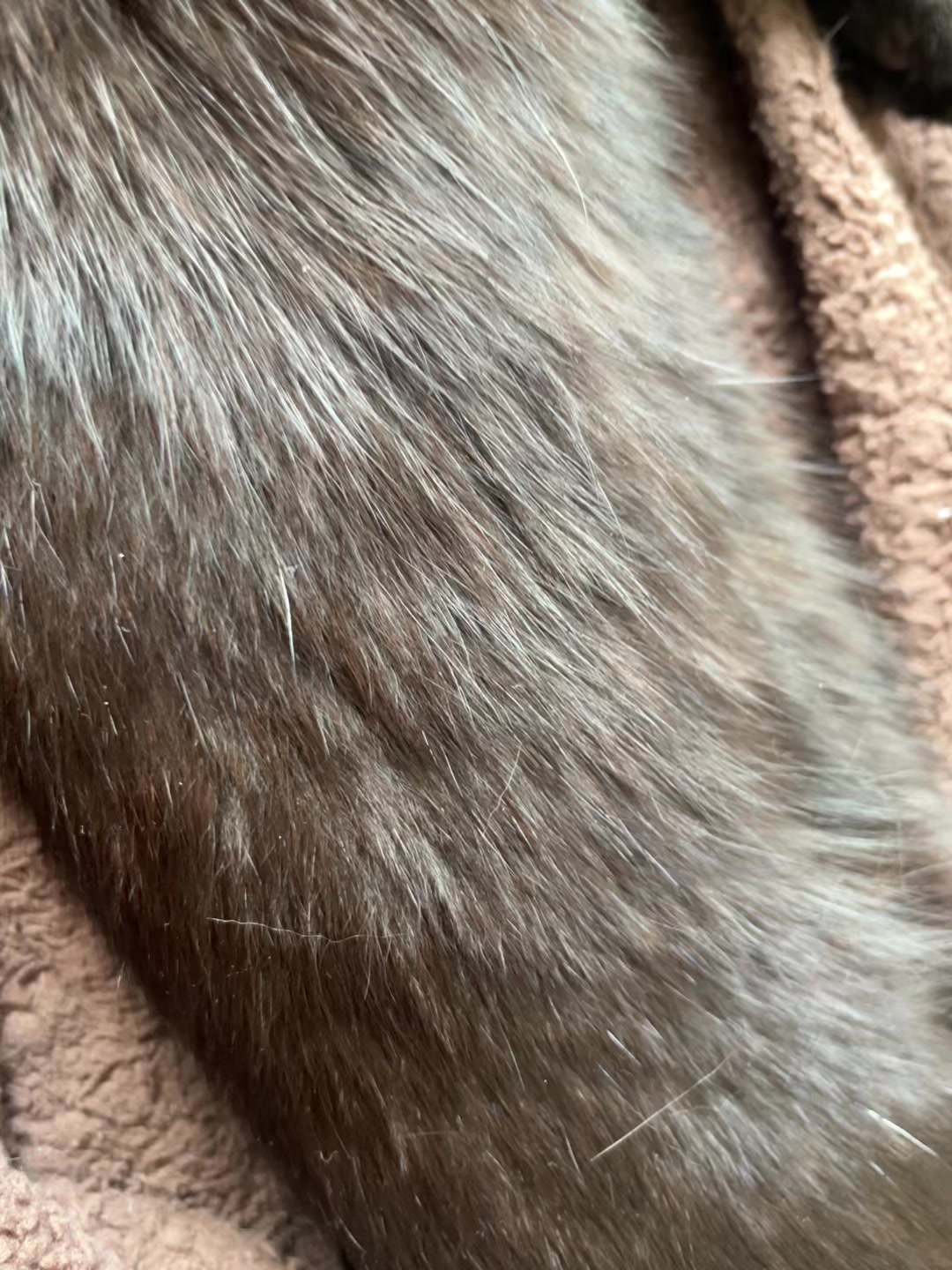 @saxarok_1824