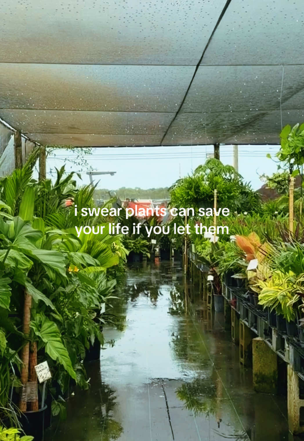 @Kourtney