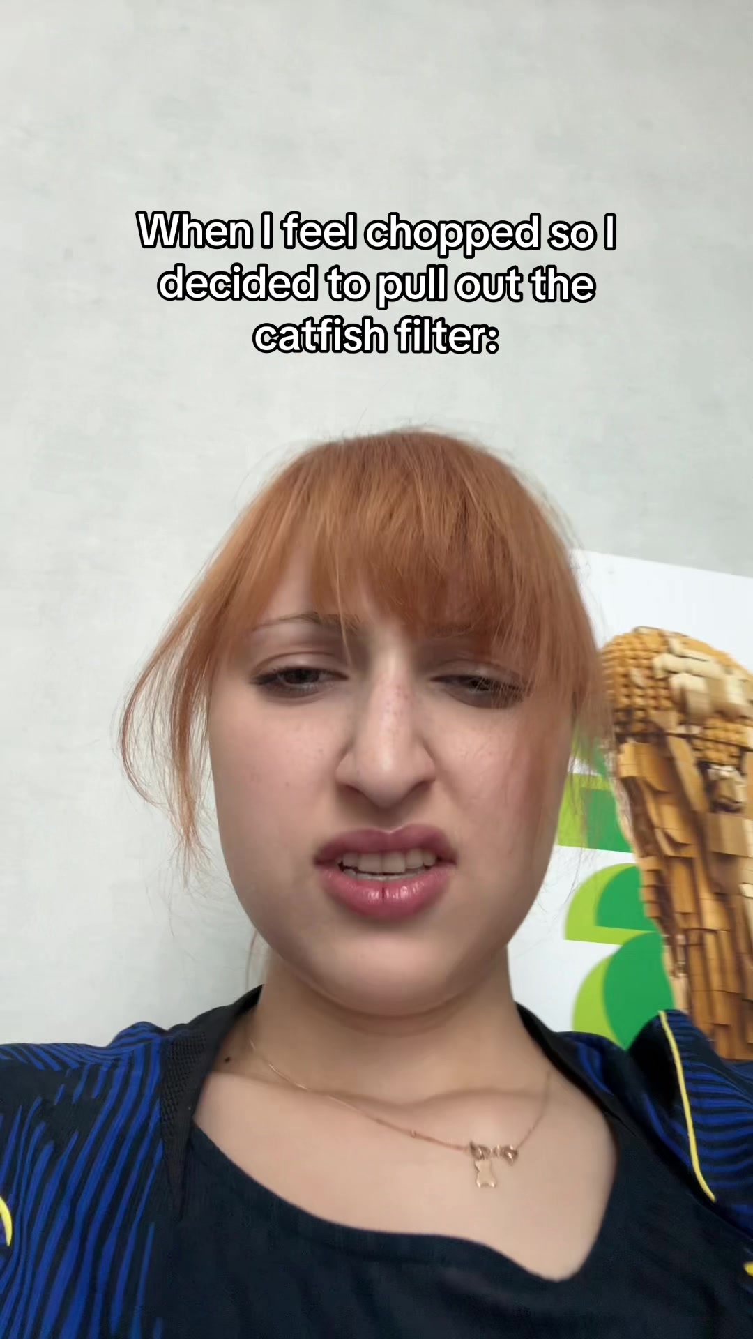 @sonyathechief