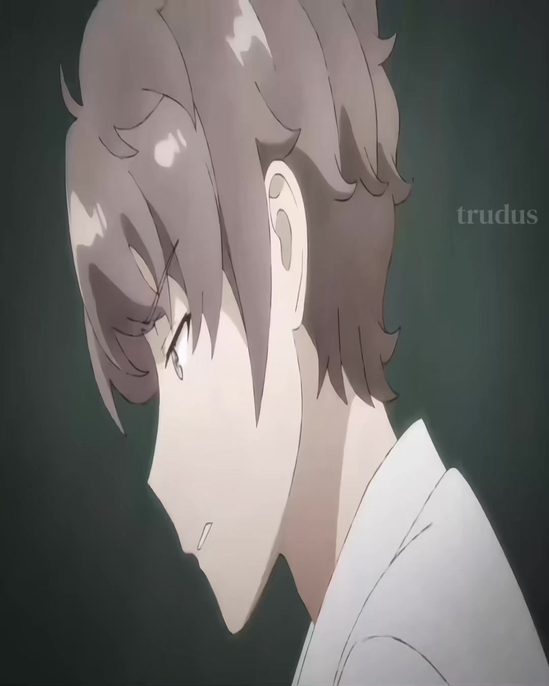 @trudus