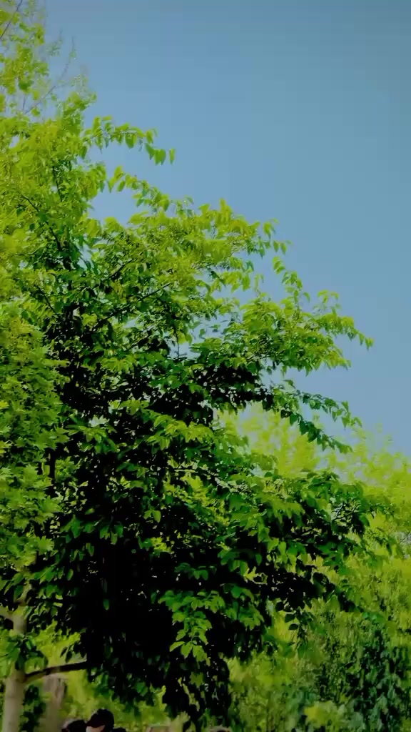 @๐ใ ๐Å_๐น_๐ข ;๐ตõ๐ด๐ ใ๐