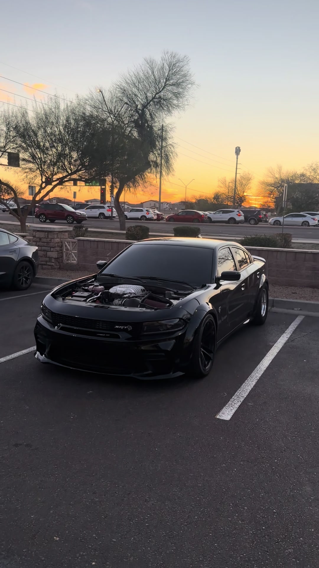 @srttmitch