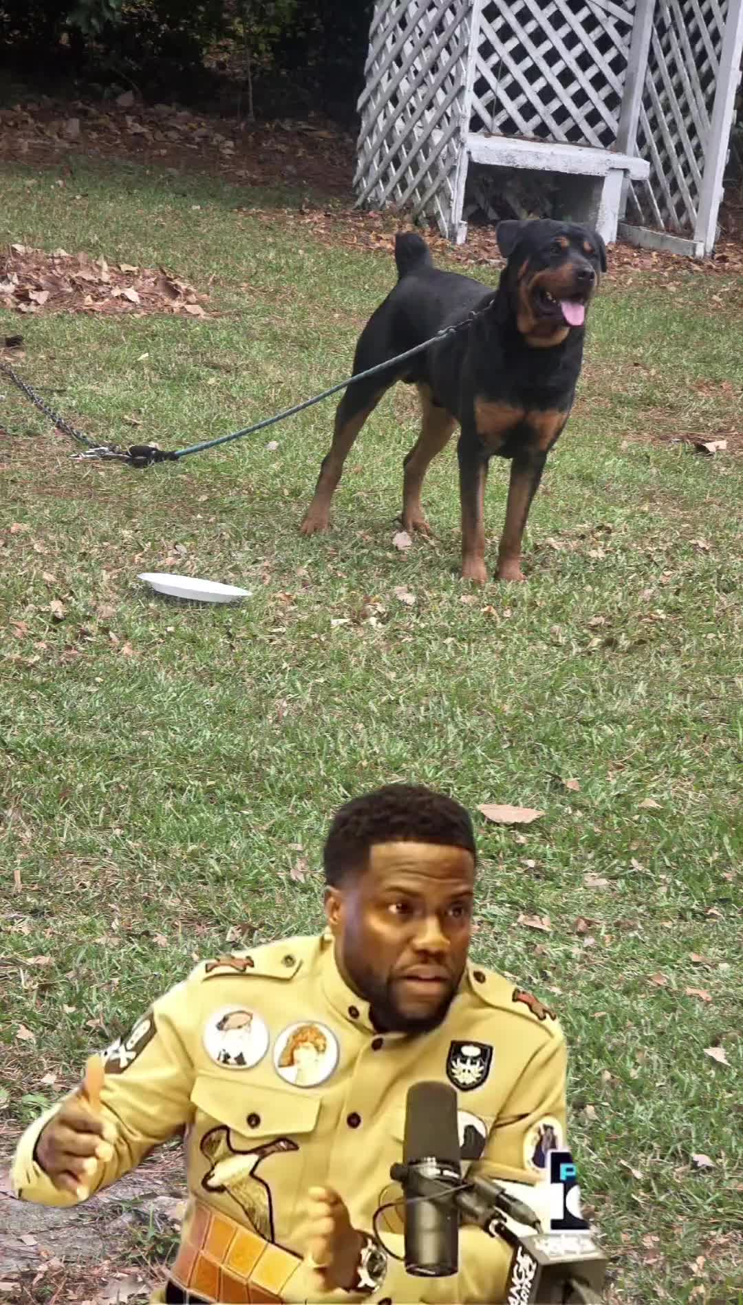 @PHATSACKS