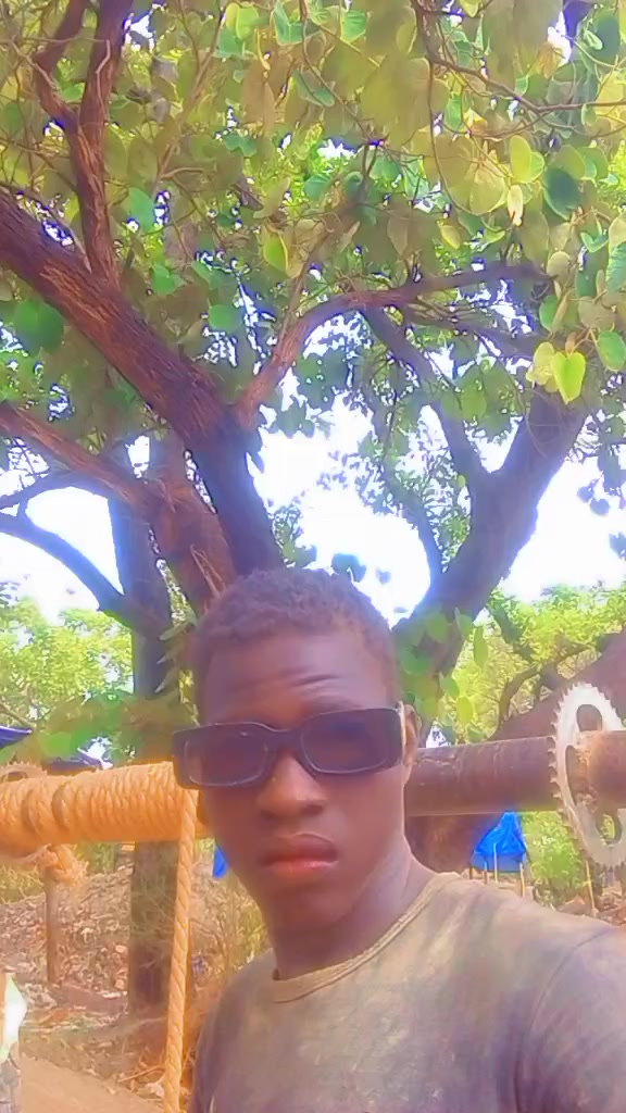 @petit bob