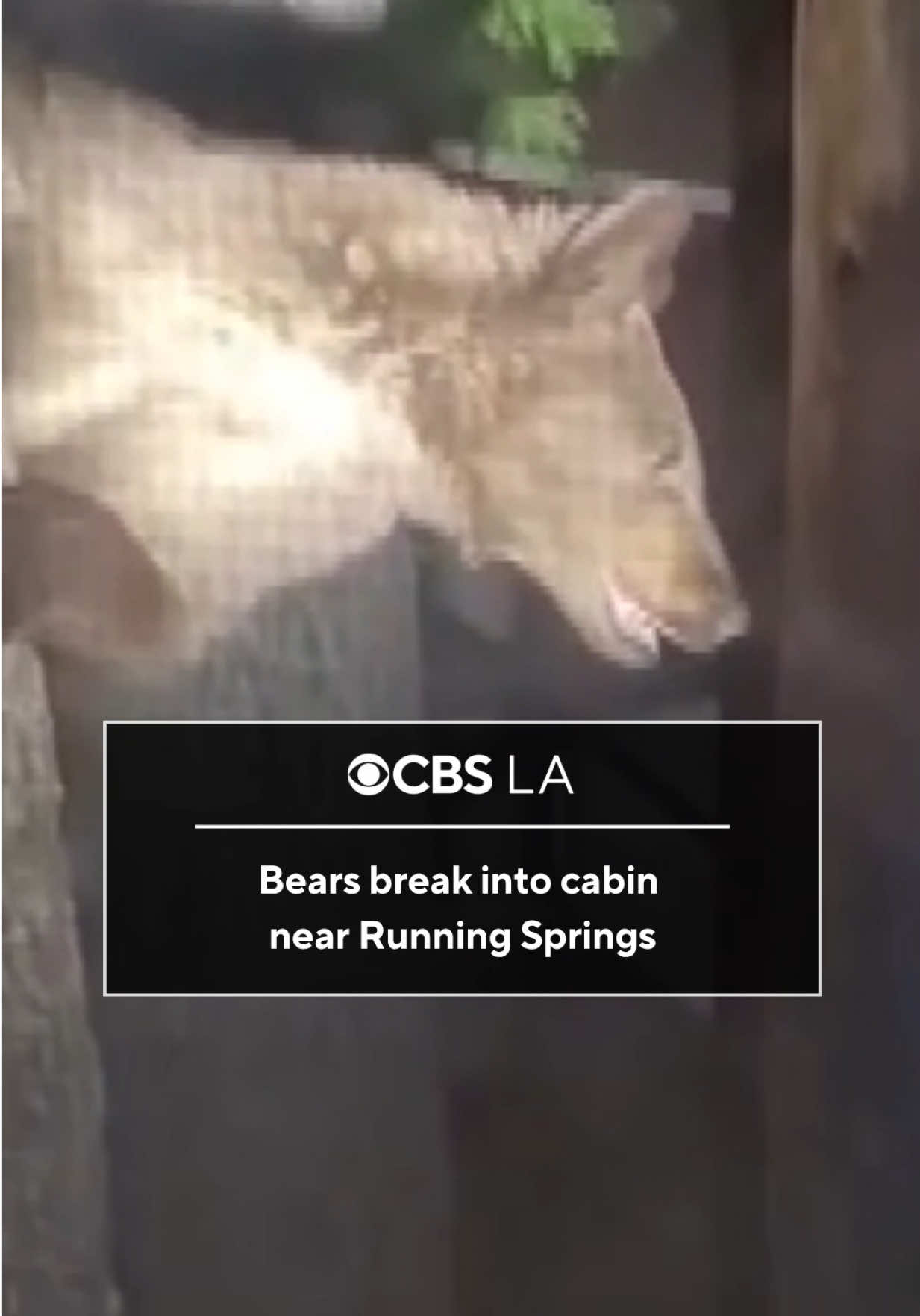 @CBS LA