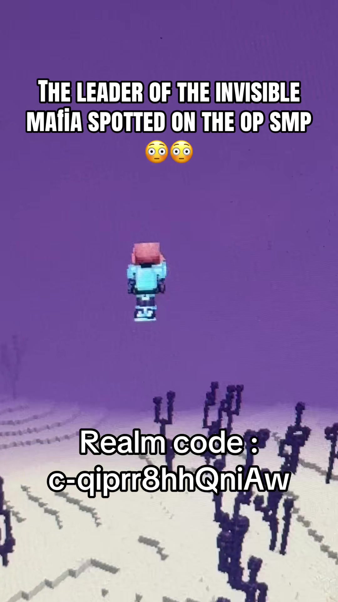 @OP SMP | bedrock realm