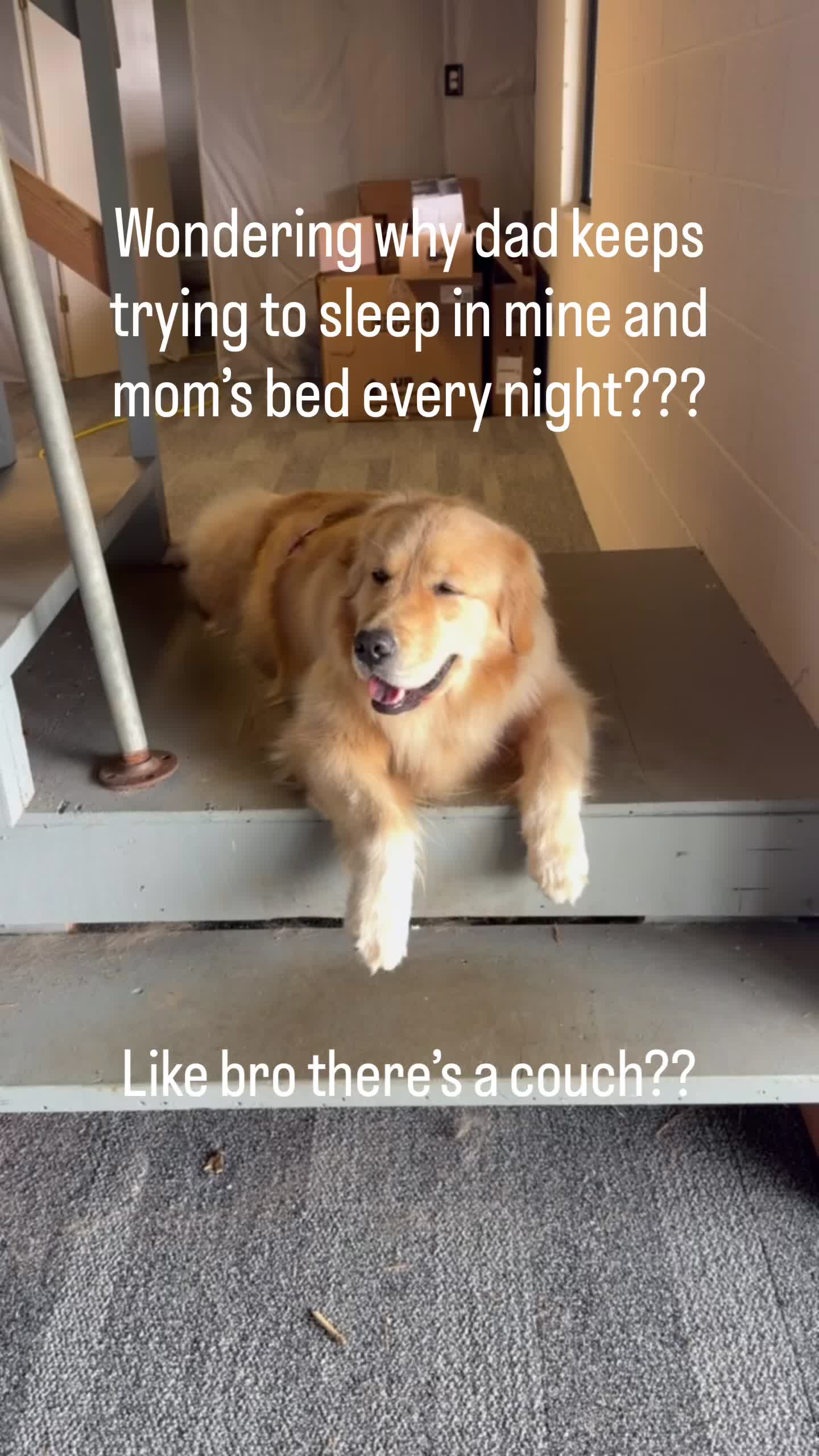 @DogMomisms