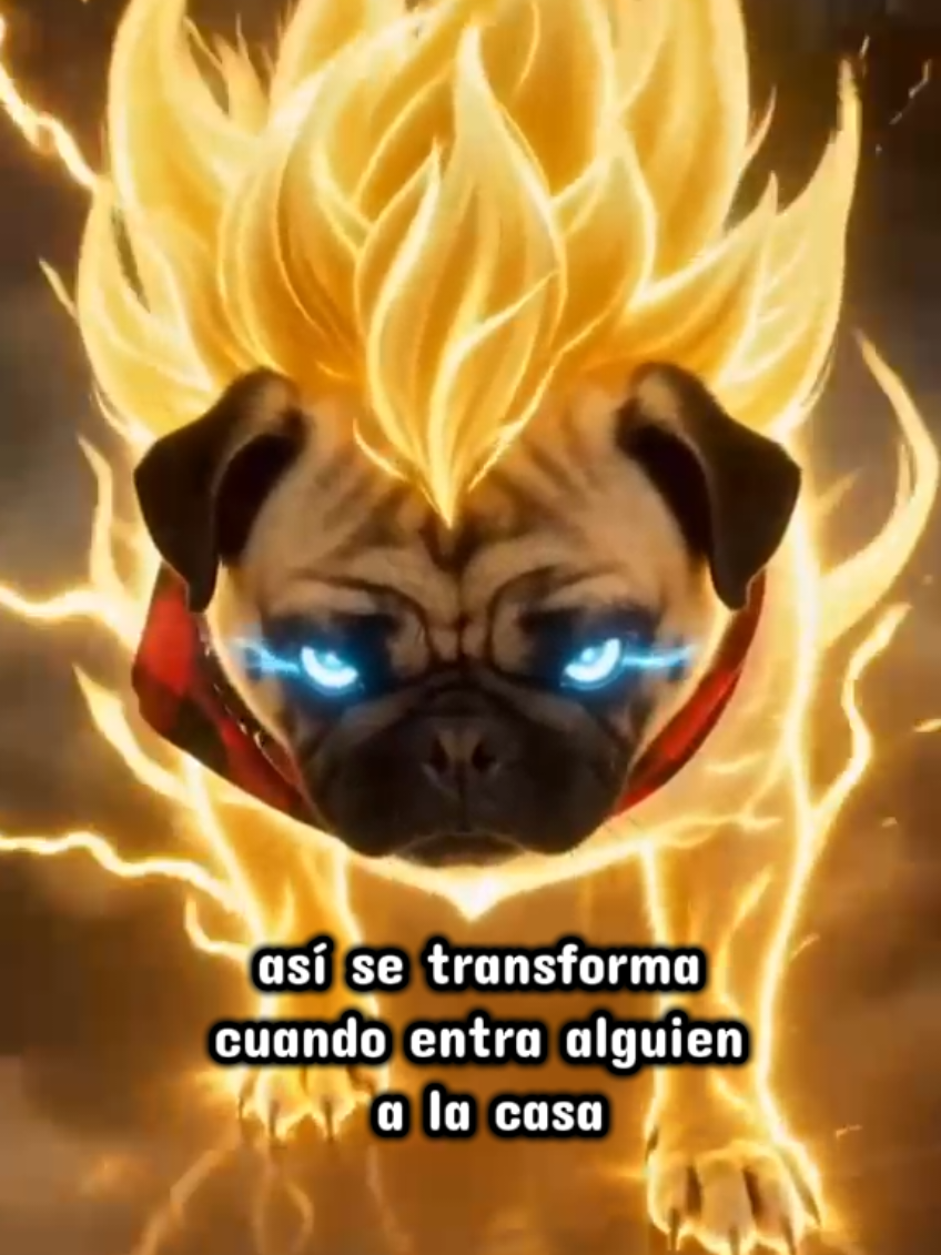 @moli