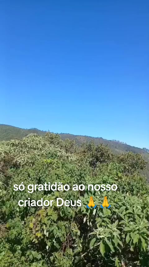 @Sônia Tavares campos