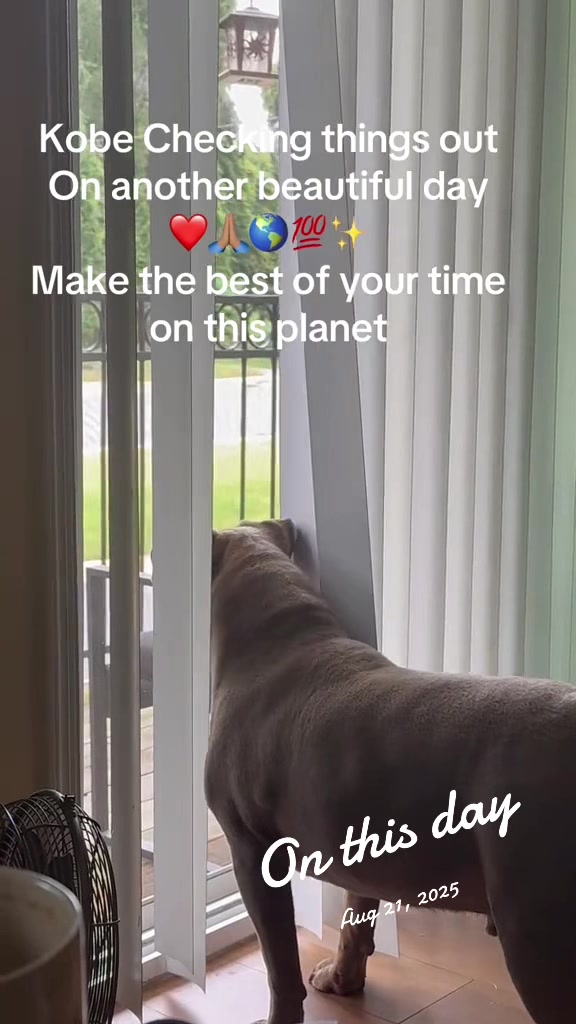@junandkobe